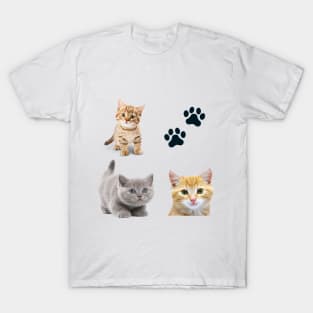 Awesome kitten cat love - cat lover pack T-Shirt